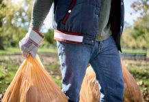 Taxe d’enlèvement des ordures ménagères : ce que dit la loi taxe d'enlèvement des ordures ménagères